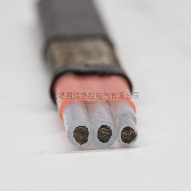高温恒功率伴热带(可用于仪表)
